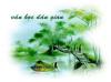 Ảnh minh họa (Nguồn: internet)
