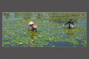 Hoa đồng nội